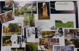 20150415_210608 rognée