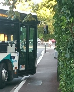 ©Marc Perrin - Sauver Le Vésinet