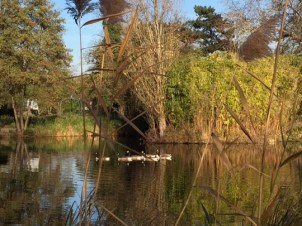 ©Sauver Le Vésinet