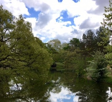 ©Les Ibis - Sauver Le Vésinet