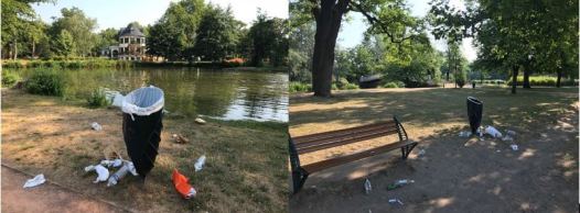 ©La ville livrée aux corbeaux - SLV