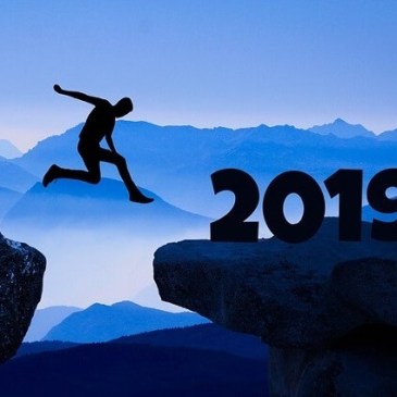 Bilan 2018, voeux 2019 - SLV